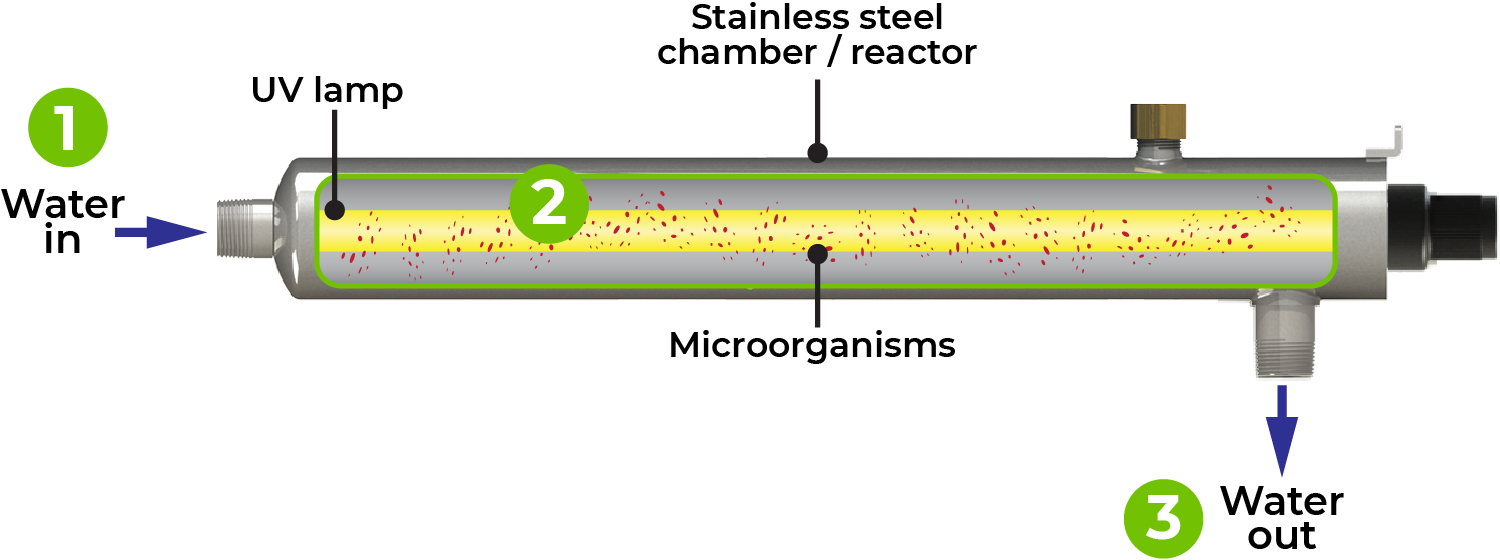 Diagram showing the steps of UV Lighting disinfecting bacteria in water