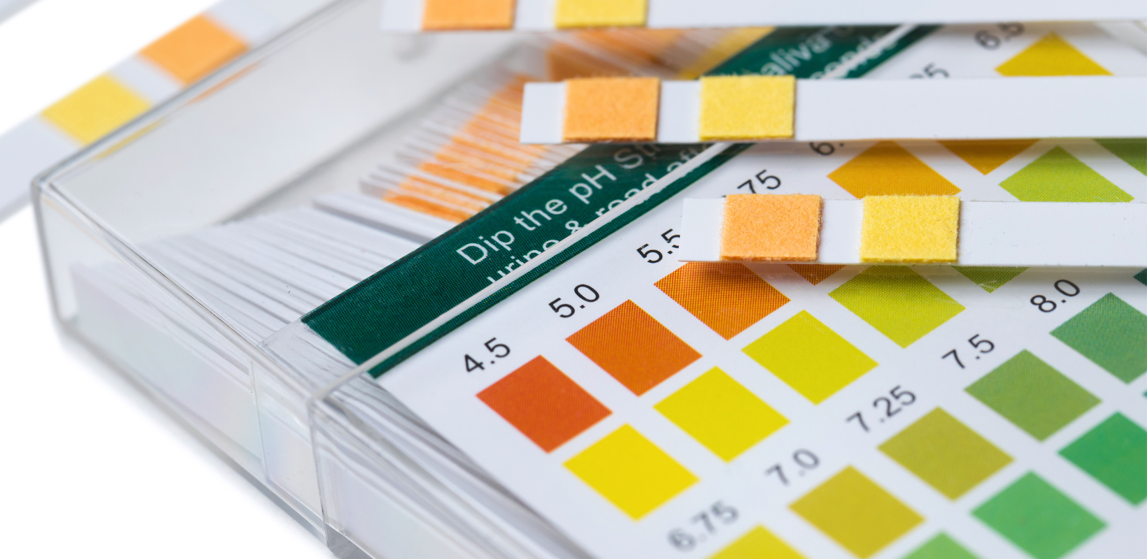 water testing strips to measure ph level